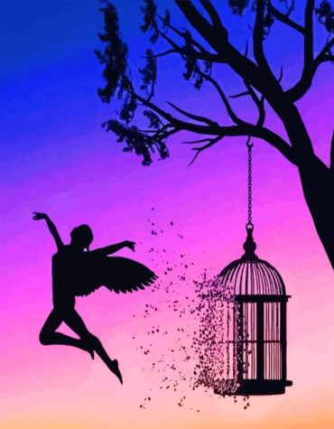 Free Spirit Silhouette Paint By Numbers