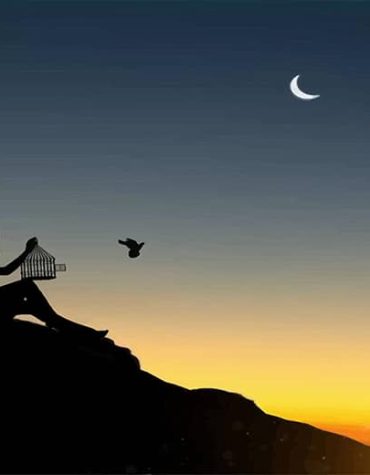 Sunset Freedom Silhouette Paint By Numbers