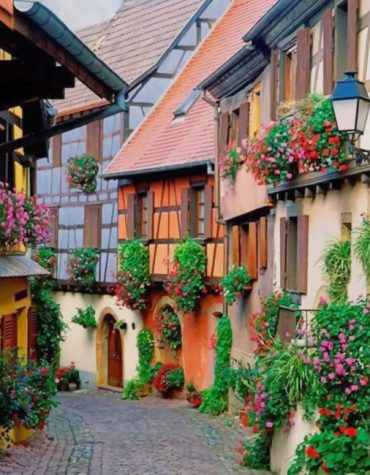 Aesthetic French Flowers Paint By Numbers