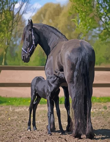 Majestic Friesian Stallions Paint By Numbers