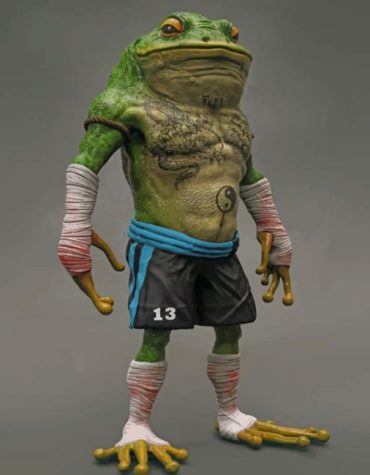 Frog Fighter Paint By Numbers