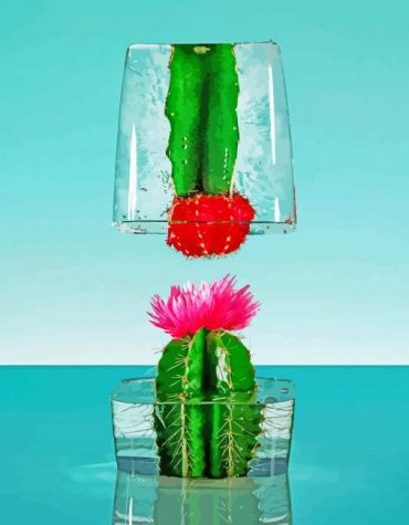 Frozen Desert Cactus Paint By Numbers