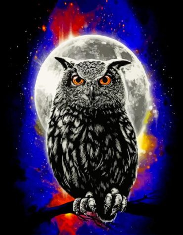 Galaxy Owl Fantasy Paint By Numbers