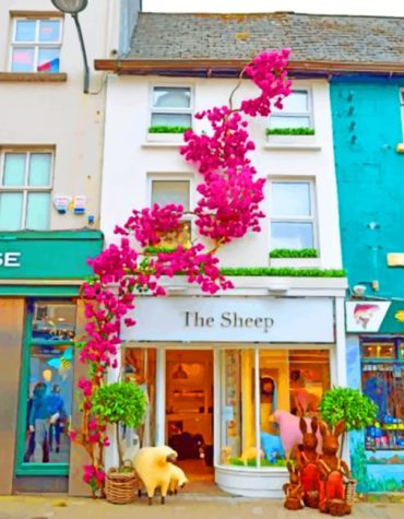 Galway Coffee and Flowers Paint By Numbers