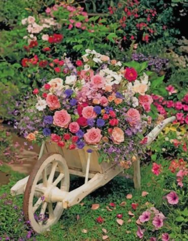 Garden Flowers Paint By Numbers