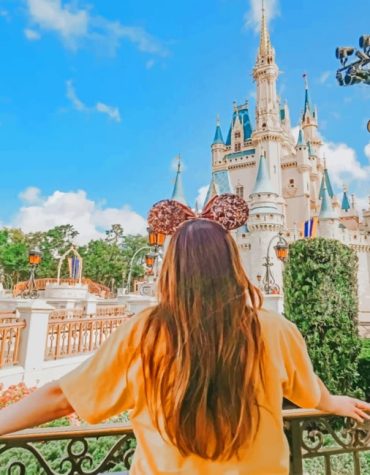 Aesthetic Disney Adventure Paint By Numbers