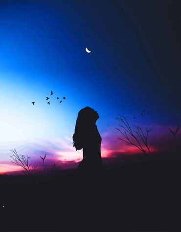 Girl Silhouette with Birds Paint By Numbers