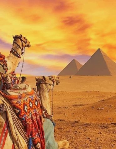 Giza Pyramids Desert Scene Paint By Numbers