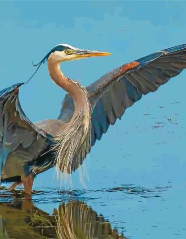 Blue Heron Wildlife Paint By Numbers
