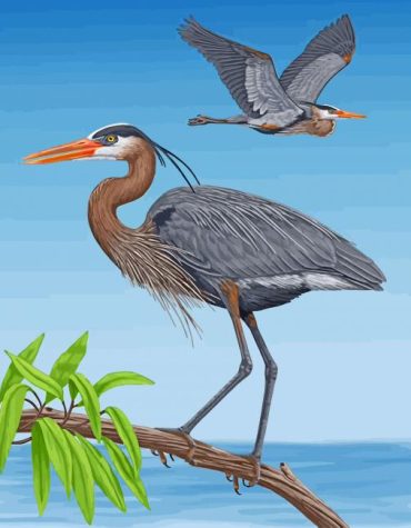 Blue Heron Wildlife Paint By Numbers