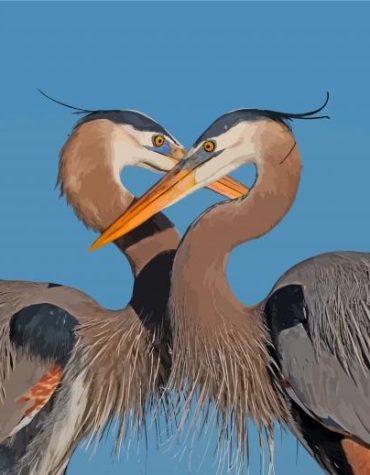 Great Blue Heron Birds Paint By Numbers