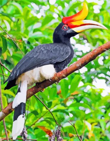 Great Hornbill Paint By Numbers
