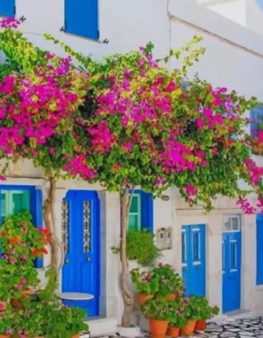 Greece Blue Doors Paint By Numbers