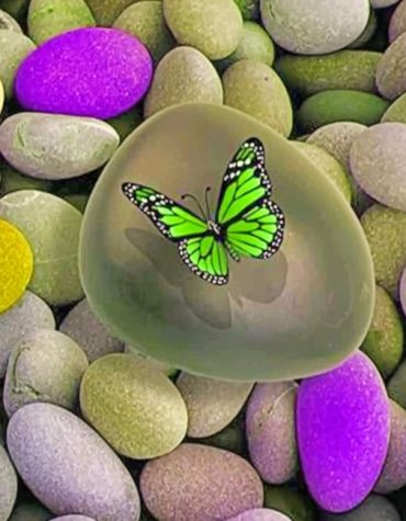 Green Butterfly Insects Paint By Numbers