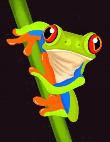 Green Frog for Kids Paint By Numbers