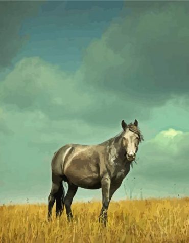 Grey Horse Solitude Paint By Numbers
