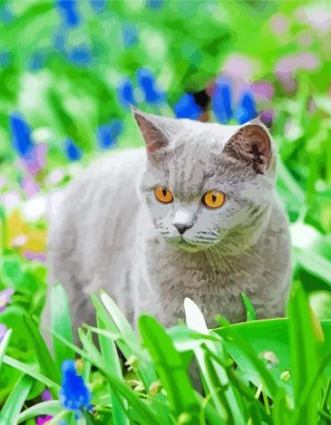Grey Cat in the Garden Paint By Numbers