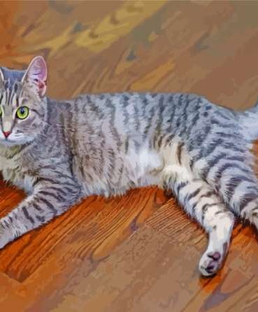 Grey Tabby Cat Picture Paint By Numbers