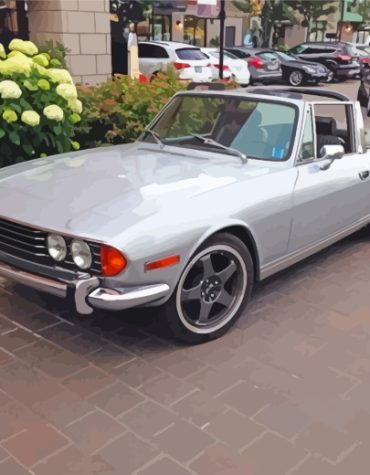 Classic Grey Triumph Stag Paint By Numbers