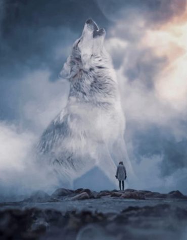 Grey Wolf Scenery Paint By Numbers