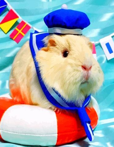 Guinea Pig Nautical Adventure Paint By Numbers