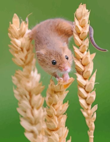 Hamster Eating Fun Paint By Numbers