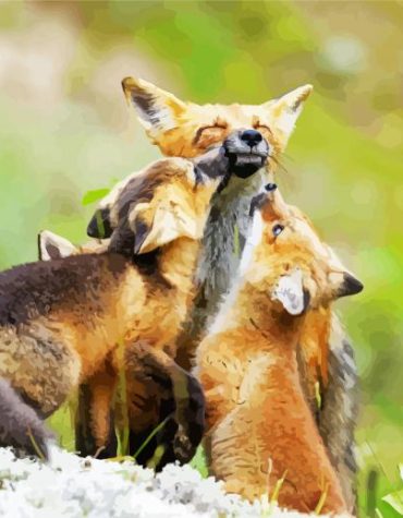 Fox Family Joy Paint By Numbers