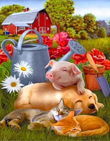 Happy Barnyard Animals Paint By Numbers