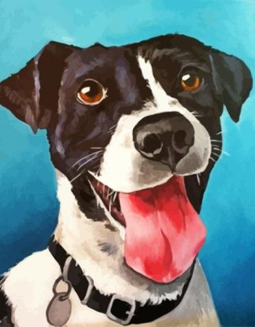 Happy Dog Animal Paint By Numbers