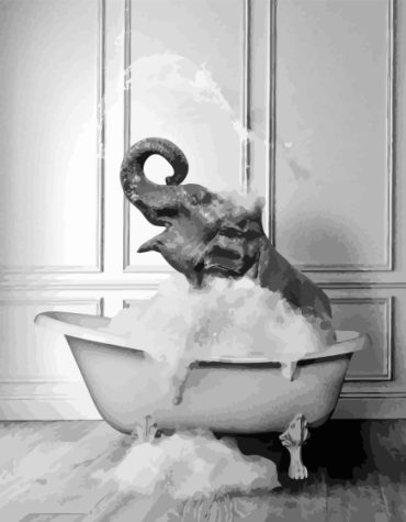 Elephant In Tub Paint By Numbers