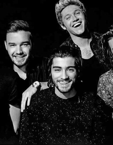 One Direction Singer Paint By Numbers