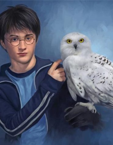 Harry Potter with Hedwig Owl Paint By Numbers