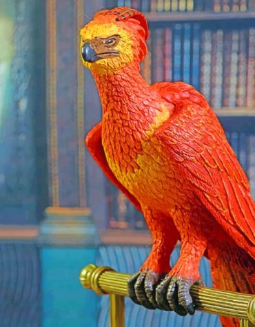 Albus Bird Fantasy Hogwarts Paint By Numbers