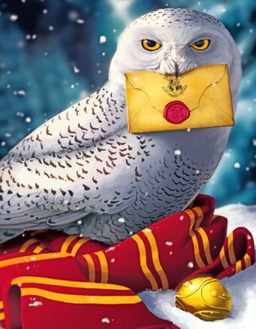 Hedwig the Owl Hogwarts Paint By Numbers