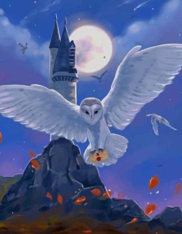 Hedwig Harry Potter Owl Paint By Numbers