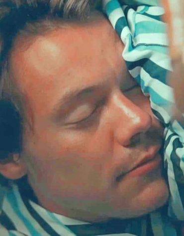 Harry Styles Iconic Look Paint By Numbers