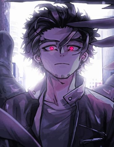 Hawks Anime Heroes Paint By Numbers