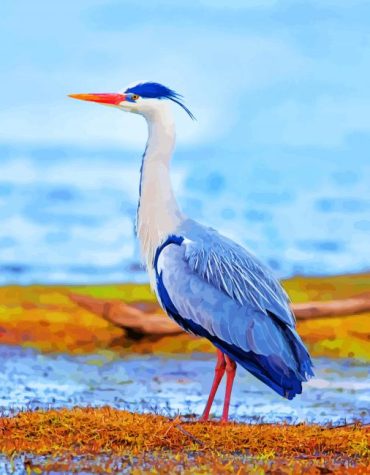 Heron Wildlife Paint By Numbers