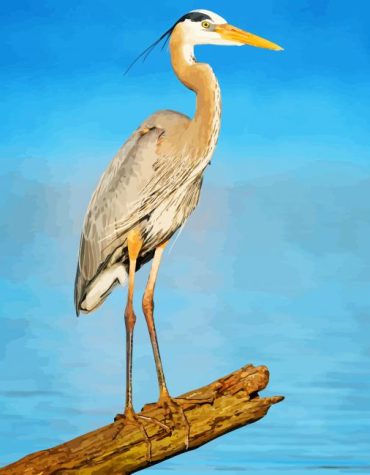 Majestic Heron Paint By Numbers