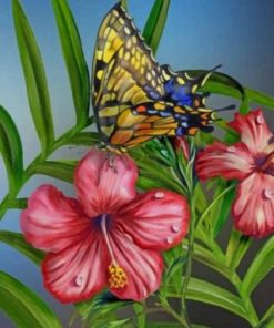 Hibiscus and Butterfly Paint By Numbers