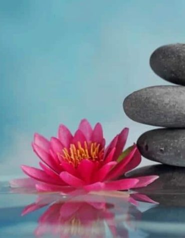 High Resolution Lotus Paint By Numbers