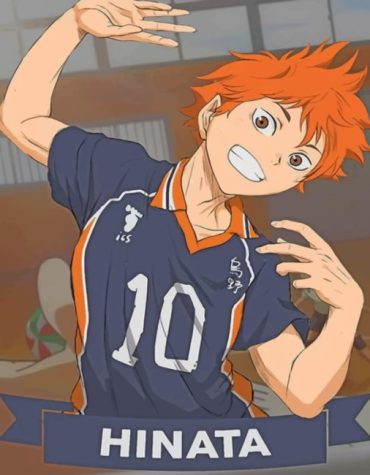 Hinata Haikyuu Anime Paint By Numbers