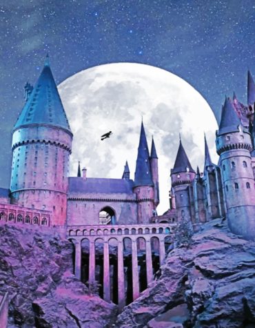 Magical Hogwarts Harry Potter Paint By Numbers