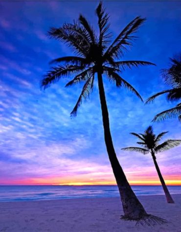 Hollywood Beach Sunrise Paint By Numbers