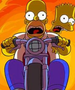 Homer Simpson Motorcycle Adventure Paint By Numbers