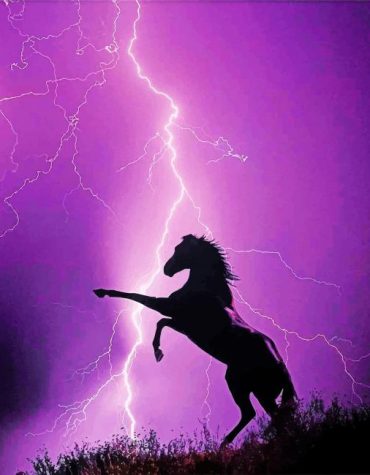 Horse Thunderstorm Silhouettes Paint By Numbers