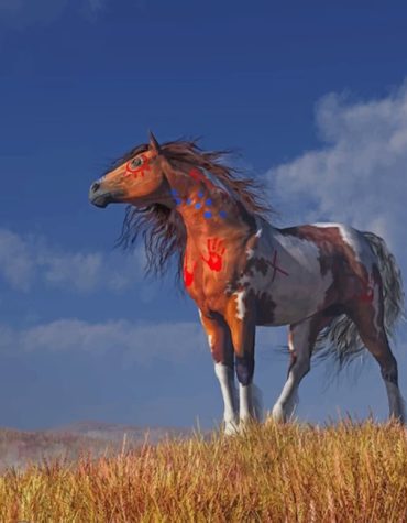 Indian War Horse Paint By Numbers