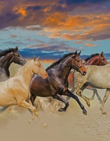 Arabian Horses in Desert Paint By Numbers