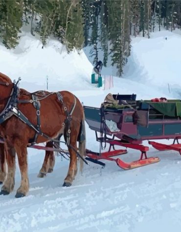 Winter Horses Sleigh Paint By Numbers