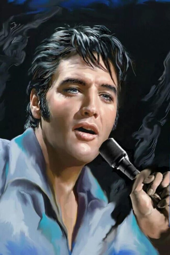 Elvis Presley Masterpiece Paint By Numbers